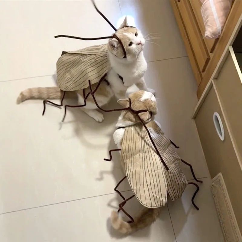 1 pacote de Fantasia de Gato de Barata, para RPG, Material para DIY Fácil, Fantasia Respirável para Pet