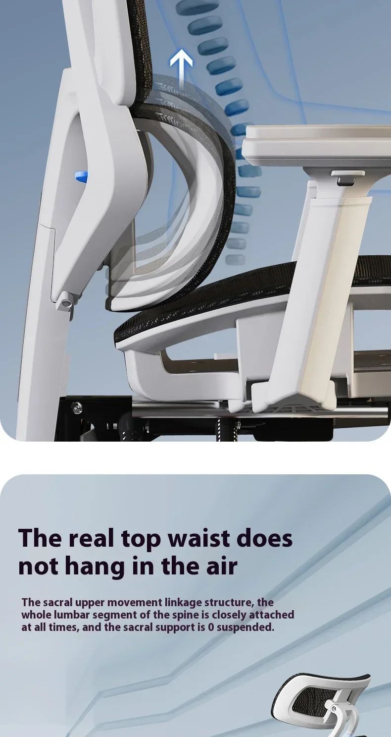 Comfortable Ergonomic Study Chairs Home Office Chair Adjustable Sedentary Not Tired Bureaustoel Household and Office Supplies