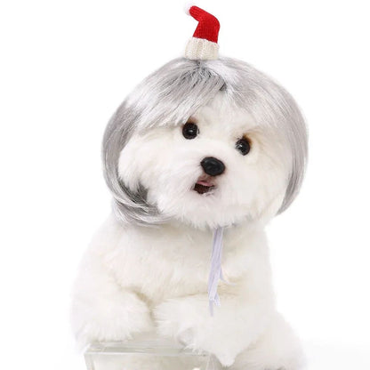Peruca para Animais de Estimação, Peruca para Cachorro, Suprimentos para Animais de Estimação, Acessórios de Halloween para Animais de Estimação, Peruca de Cabelo Cacheado, Cabelo Liso, Peruca para Gato, Pode Ser Aparada (DIY)