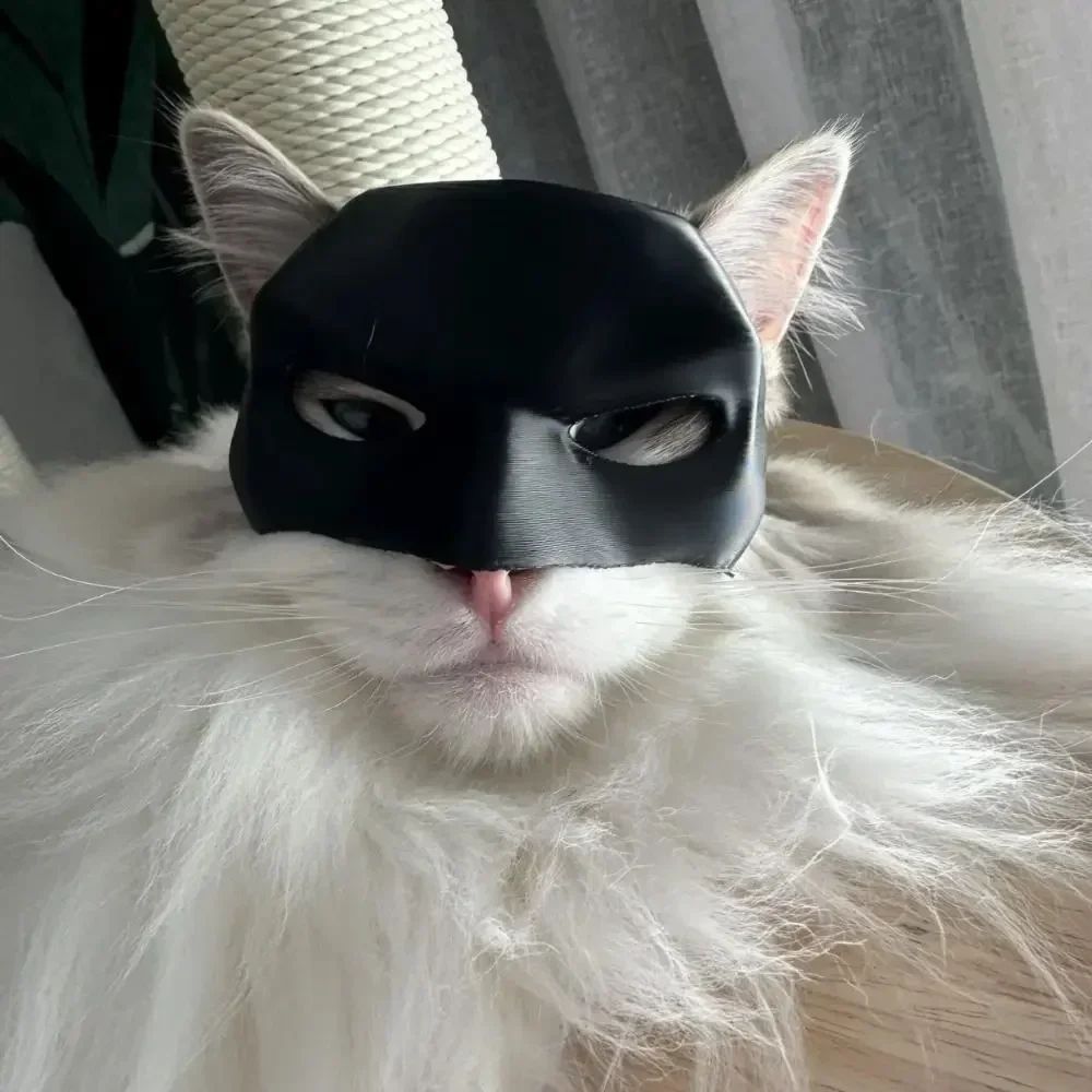 2026-Bat Cat Avenger Mask Black Matte Bat Mask Superhero Pet Toys Cat Bat Pet Man Mask for Cat and Dogs Spooky Make-up Party Toy