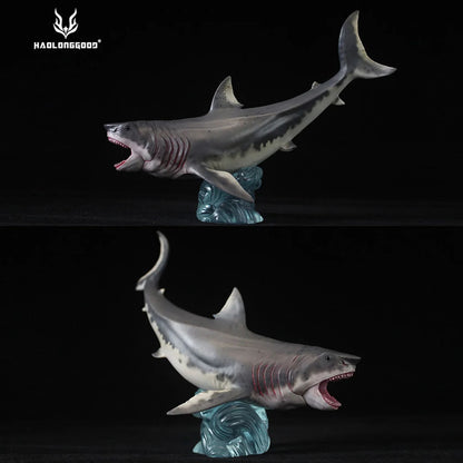 HAOLONGGOOD Megalodon Modelo Coleção de Tubarão Marinho Decoração de Mesa Realista Animal Marinho Pré-histórico Presente de Aniversário para Adultos