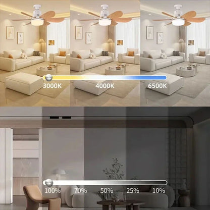 40W Ceiling Fan Lighting Dimmable Light Color Temperature Modern Ceiling Mount Remote Control Smart E27 Led Ceiling Fan Light