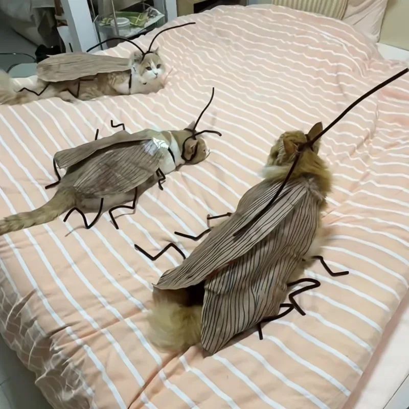 1 pacote de Fantasia de Gato de Barata, para RPG, Material para DIY Fácil, Fantasia Respirável para Pet