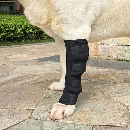 1 par de joelheiras de suporte para animais de estimação – Protetores de articulação de jarrete para recuperação de lesões e proteção da mobilidade de cães