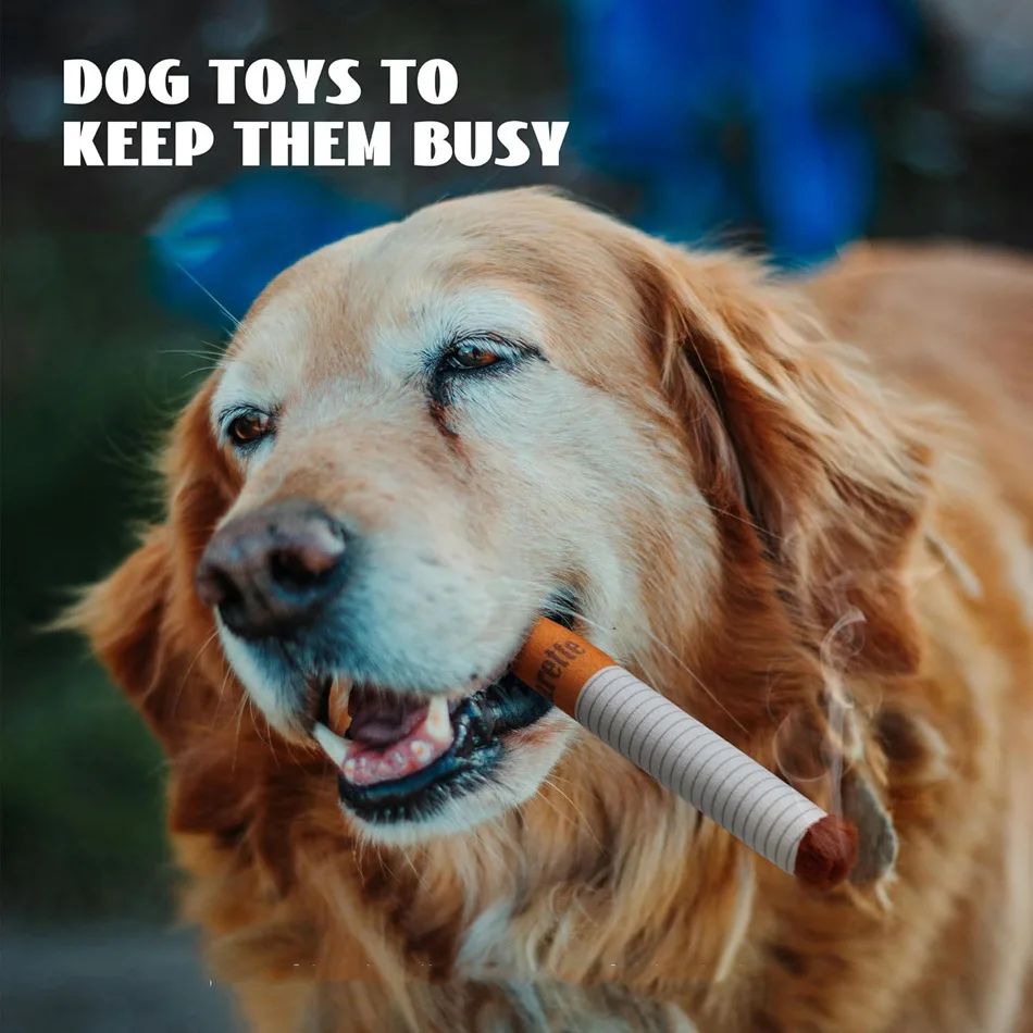 Brinquedos interativos engraçados de pelúcia para cães, design criativo de cigarro, brinquedo de mastigar que faz barulho para cães, o presente perfeito para cães brincarem