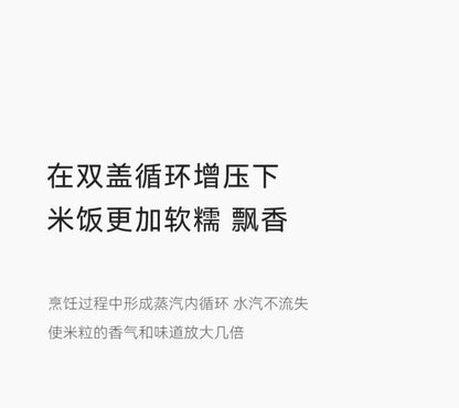 220V olayks 3L ceramic rice cooker 0 coating Japan export home kitchen appliance BB