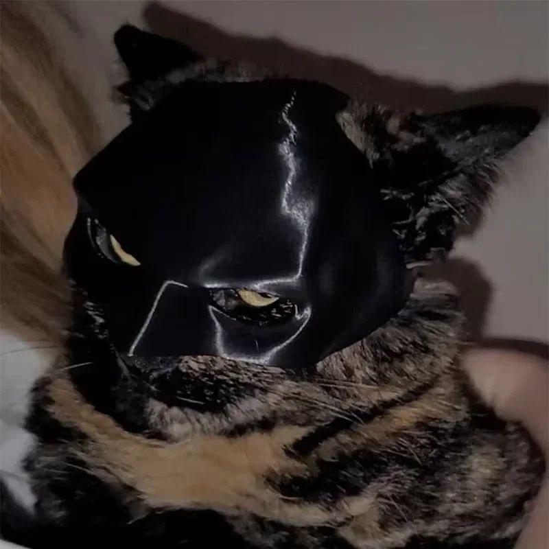 2026-Bat Cat Avenger Mask Black Matte Bat Mask Superhero Pet Toys Cat Bat Pet Man Mask for Cat and Dogs Spooky Make-up Party Toy