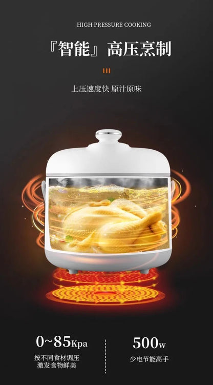 110V/220V Electric Pressure Cooker Multifunction Home Use for USA Japan Canada  DC