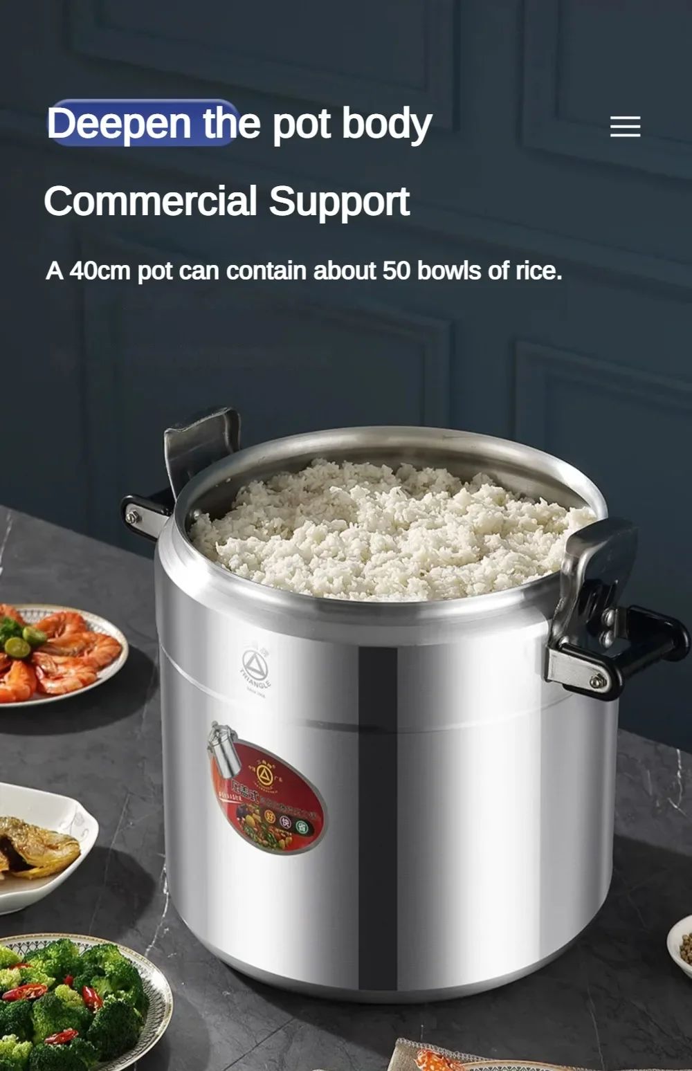 Electric Pressure Cooker, Rice Cooker, Stainless Steel Pot, Cuisine Cooker