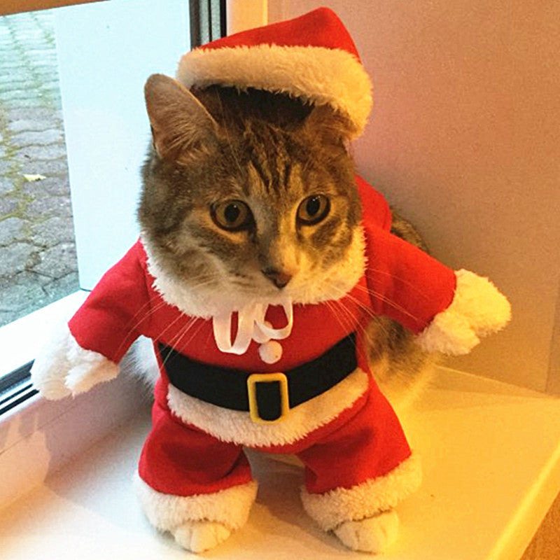 Roupas de Gato de Natal Fantasia Engraçada de Papai Noel para Gatos Pequenos Cães de Natal Ano Novo Roupas de Gato de Estimação Inverno Roupa de Gatinho