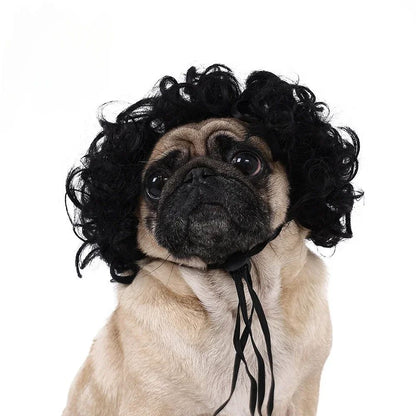 Peruca para Animais de Estimação, Peruca para Cachorro, Suprimentos para Animais de Estimação, Acessórios de Halloween para Animais de Estimação, Peruca de Cabelo Cacheado, Cabelo Liso, Peruca para Gato, Pode Ser Aparada (DIY)