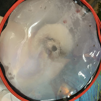 Máscara de Resgate para Cães com Cordão Ajustável, Máscara de Anestesia Transparente para Cães, Antimosca, Material de Banho e Tosa para Animais de Estimação