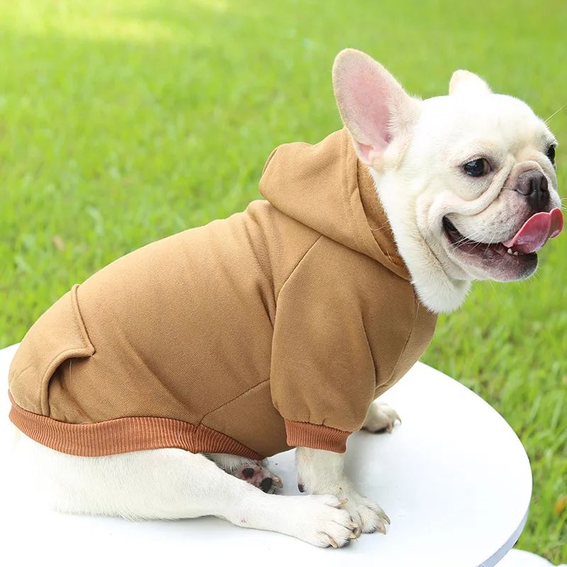 Roupa de Cachorro da Moda Outono e Inverno Roupa de Estimação Pequena Engrossar Quente Cor Sólida Moletom de Duas Pernas com Capuz Produtos Casuais para Pets