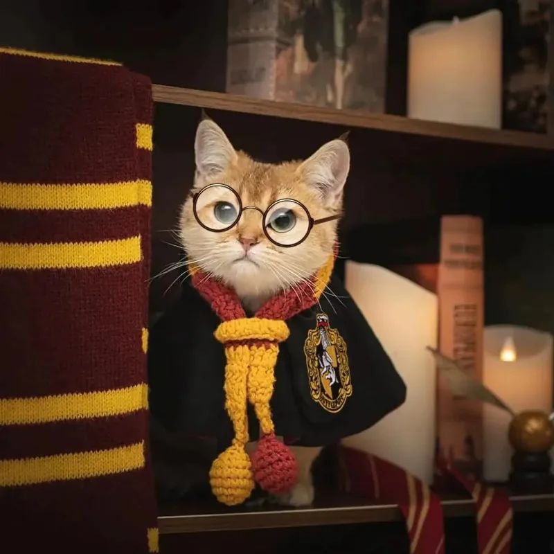Capa de Halloween Cosplay Roupinha de Cachorro Fofa Manto Mágico Colegial Pequeno Óculos Gravata Acessórios para Pescoço Xale para Pet Roupinha de Outono