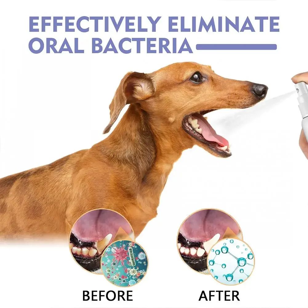 Spray de Limpeza Dental para Pets Previne Tártaro e Mau Hálito em Gatos e Cães Remove o Tártaro e Mantém o Hálito Fresco Desodorização Spray para Cuidados Bucais de Pets