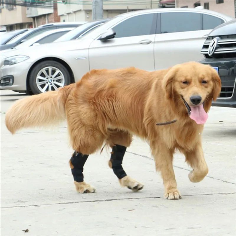 1 par de joelheiras de suporte para animais de estimação – Protetores de articulação de jarrete para recuperação de lesões e proteção da mobilidade de cães