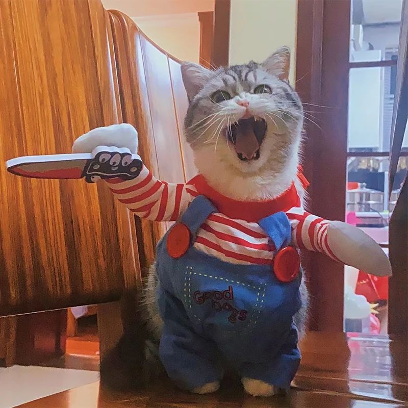 Roupa Engraçada Para Gatos, Trajes de Cosplay de Halloween Para Cães Pequenos e Médios, Gatos, Macacões Criativos Para Festas de Animais de Estimação, Casaco Macio e Quente Para Gatos