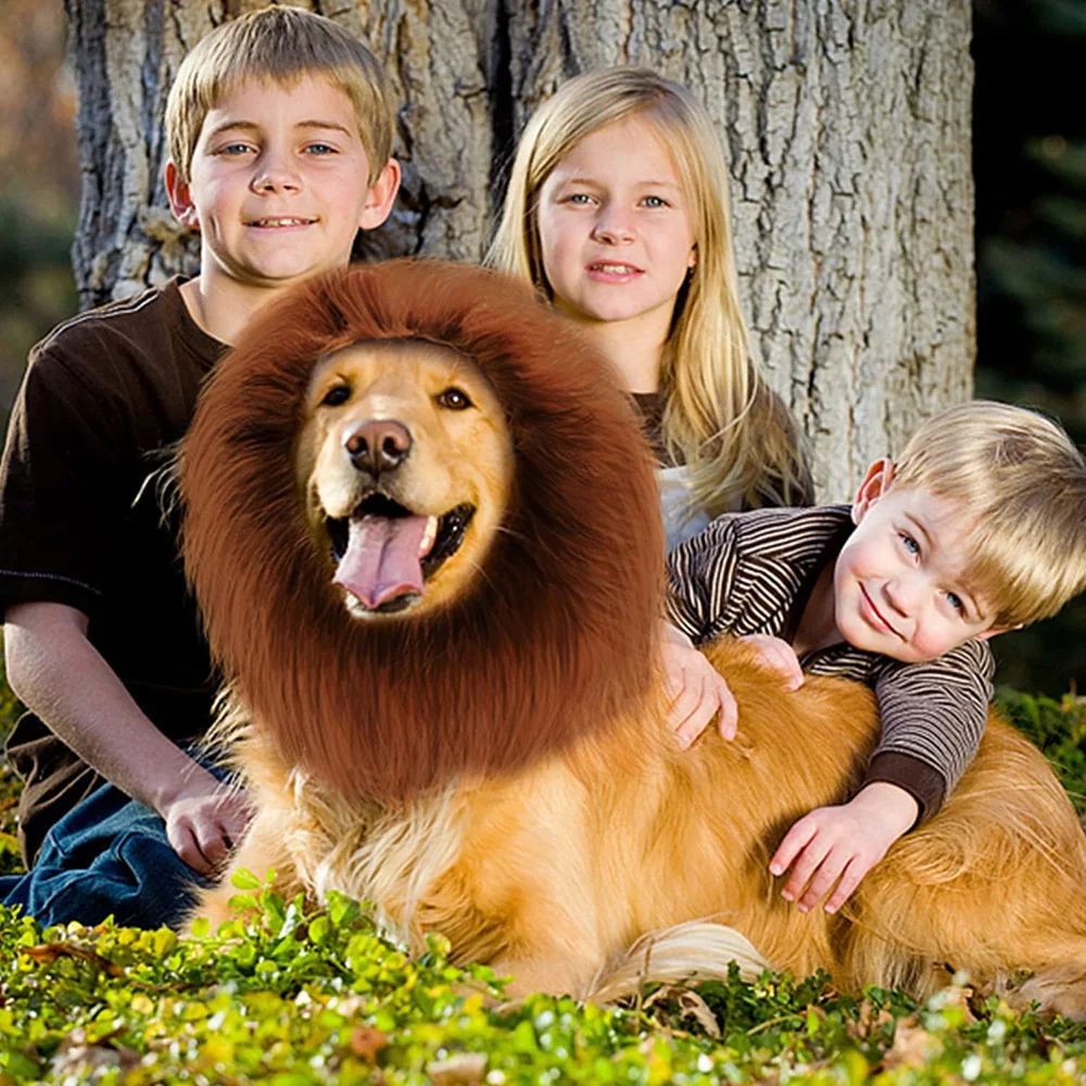 Roupa Fofa de Cosplay para Cães, Juba de Leão para Fantasias de Cães, Peruca Realista de Leão para Cães de Médio a Grande Porte com Orelhas, Acessórios para Animais de Estimação