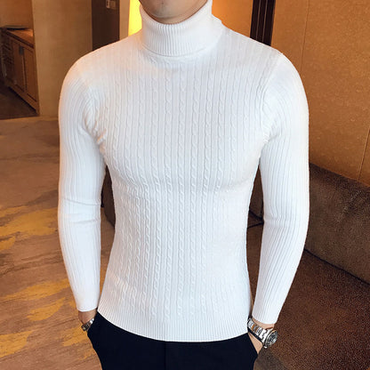 Winter Turtleneck Sweater New Men's Casual Rollneck Knitted Swatshirts Warm Men Jumper Wool Autum Sweaters