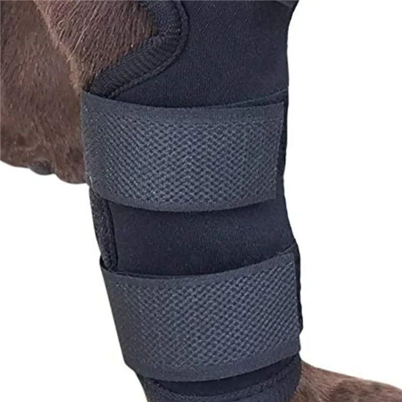 1 par de joelheiras de suporte para animais de estimação – Protetores de articulação de jarrete para recuperação de lesões e proteção da mobilidade de cães