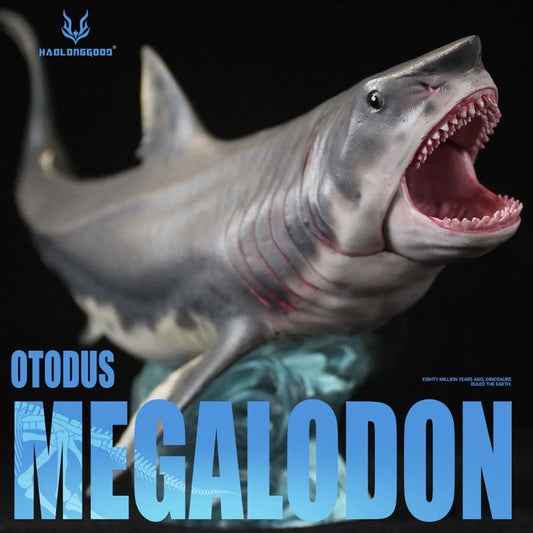 HAOLONGGOOD Megalodon Model Marine Shark Collection Realistic Desk Decor Prehistoric Ocean Animal Birthday Gift For Adult Toy