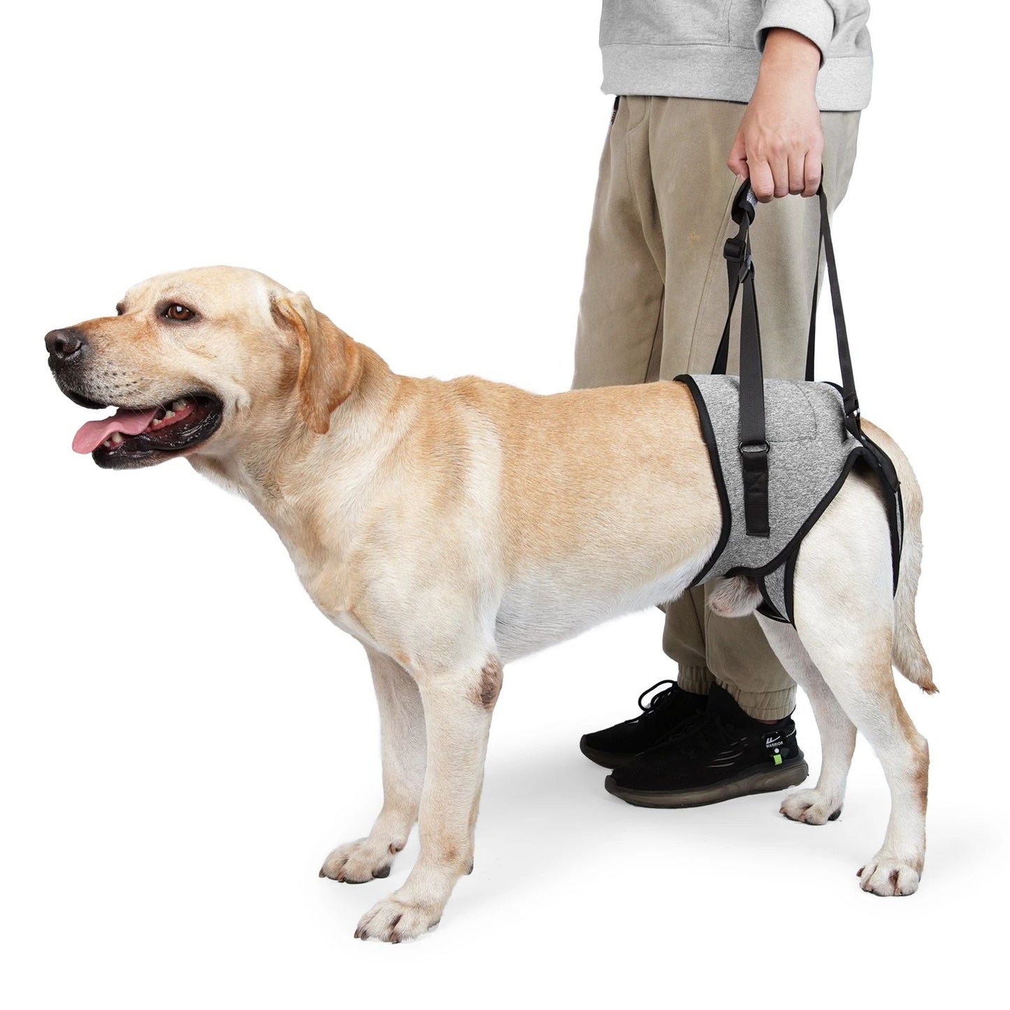 Coleira de Suporte para Cães Ajustável para Cães Grandes com Acolchoamento Macio Suporte para Pernas Traseiras para Animais de Estimação Idosos com Deficiência Lesões Articulares Apoio para as Pernas Traseiras do Cão