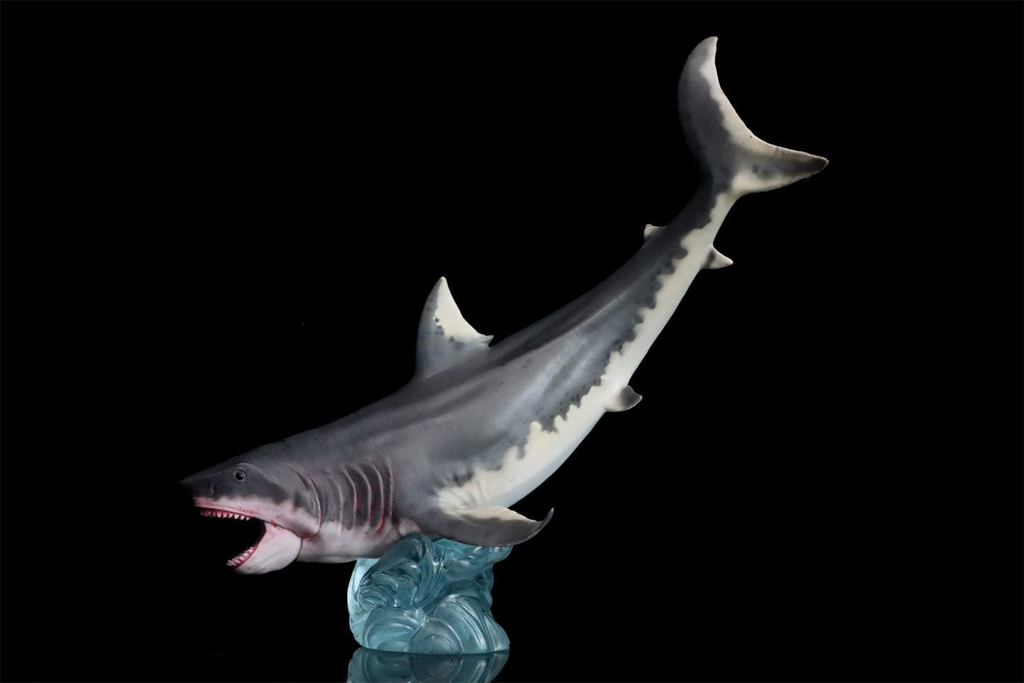 HAOLONGGOOD Megalodon Modelo Coleção de Tubarão Marinho Decoração de Mesa Realista Animal Marinho Pré-histórico Presente de Aniversário para Adultos