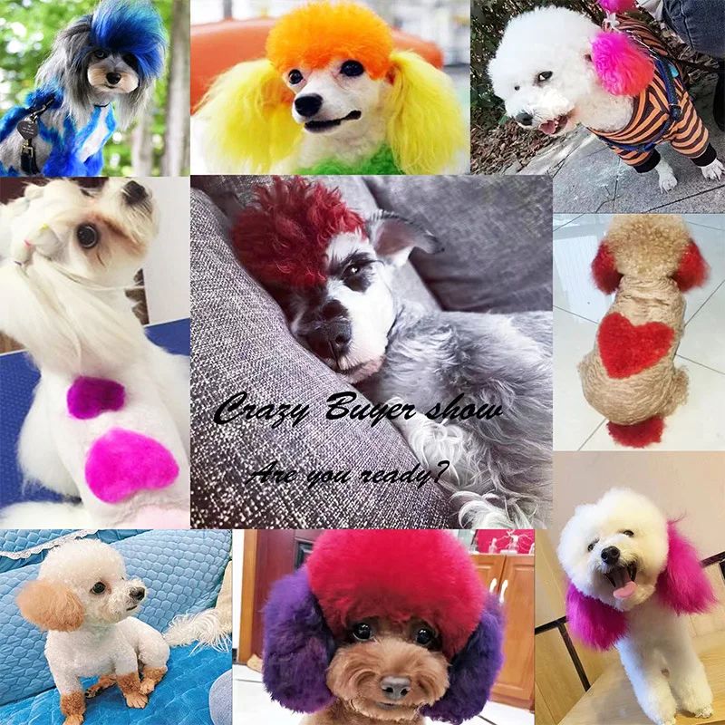 Creme Tinta Para Cães E Gatos 150g Frasco Grande Com Variedade De Cores Puras Tinge Bichon Teddy