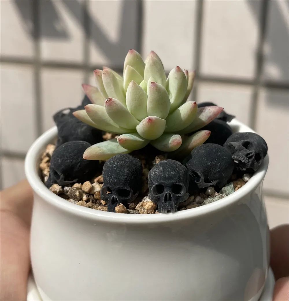 Mini Skull High Quality Miniature Model for Halloween Home Decor Dollhouse Plant Fish Tank Decoration