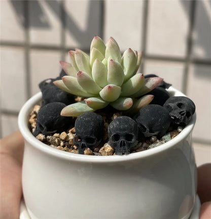 Mini Skull High Quality Miniature Model for Halloween Home Decor Dollhouse Plant Fish Tank Decoration