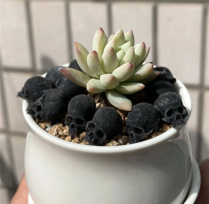 Mini Skull High Quality Miniature Model for Halloween Home Decor Dollhouse Plant Fish Tank Decoration