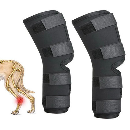 1 par de joelheiras de suporte para animais de estimação – Protetores de articulação de jarrete para recuperação de lesões e proteção da mobilidade de cães