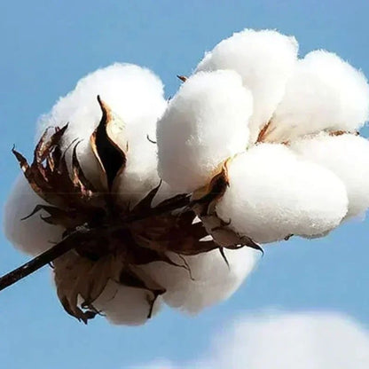 2025 Summer Men Clothes KPop Demon Hunters Saja Boys Soft  100% Pure Cotton Printed T-shirt Cool Cosplay Costume Oversize Y2k