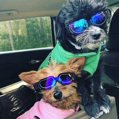 ATUBAN Capacete e Óculos de Sol para Cães Pequenos, Óculos de Proteção UV para Cães Médios, para Cães Dirigirem ao Ar Livre e Passearem