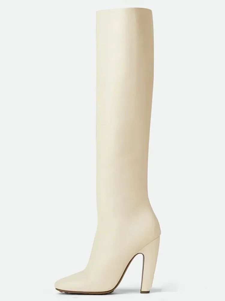 2025 Women's New Winter Coarse High Heels Knee Boots European and American Sexy Square Head Side Zipper Fashion Large Boots