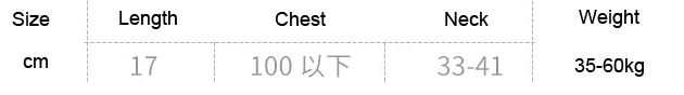 Anime  Cute Cat Paw Bikini Swimsuit Costume Summer Beach  Mini Lovely Cats Bell Swimwear Uniform Cosplay Cats Hollow Bra