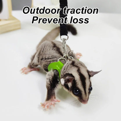 4 peças/conjunto de coleira + guia Sugar Quoll à prova de fugas ajustável para animais de estimação pequenos, hamsters, sugar gliders, esquilos