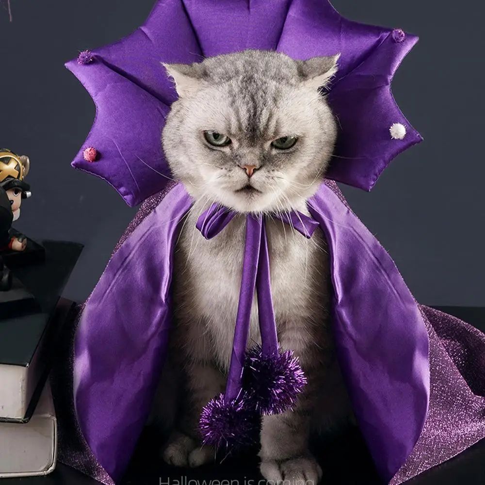 Fantasia de Gato de Halloween, Roupa de Gato Confortável de Bruxo, Fantasia de Cachorro de Bruxa, Capa de Gato, Chapéu de Bruxa, Roupa de Halloween para Cães e Gatos P/M