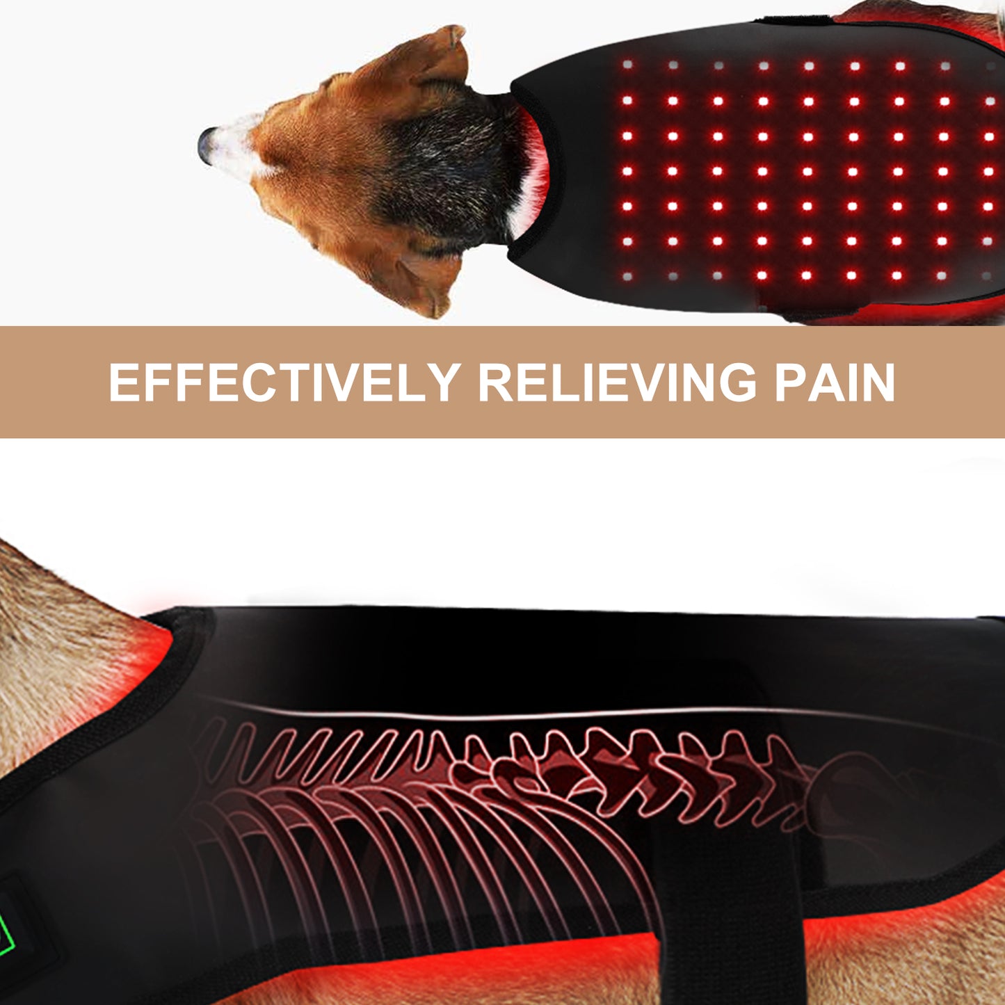 Equipamento de fisioterapia com LED de luz vermelha para uso veterinário, para alívio e redução da dor em cães de estimação.