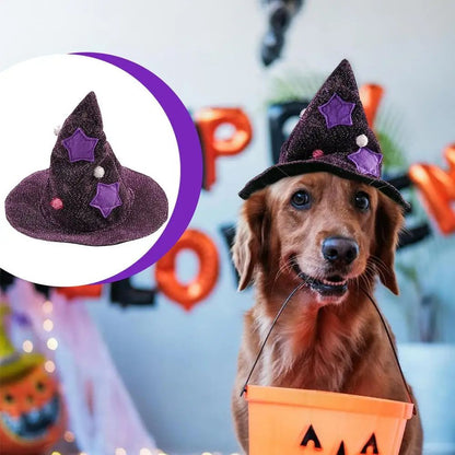 Fantasia de Gato de Halloween, Roupa de Gato Confortável de Bruxo, Fantasia de Cachorro de Bruxa, Capa de Gato, Chapéu de Bruxa, Roupa de Halloween para Cães e Gatos P/M