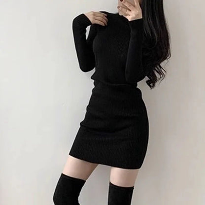 Fanan 2024 New Turtleneck Sweater Dresses Lady Sexy Slim Streetwear Bodycon Mini Dress Women Thick Basic Bottoming Dress Woman