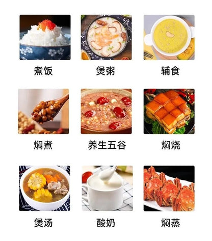 110V/220V Electric Pressure Cooker Multifunction Home Use for USA Japan Canada Export BBD