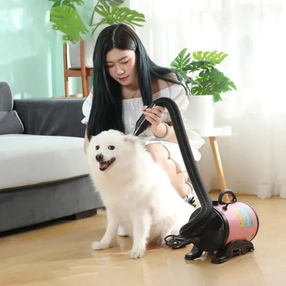 Secador de Pelo de Cachorro de Alta Potência 2800W Soprador de Água para Gatos Motor de Vento Quente Ajustável Soprador Profissional para Animais de Estimação