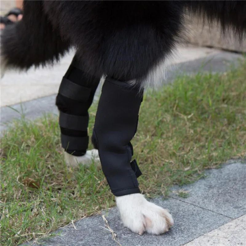 1 par de joelheiras de suporte para animais de estimação – Protetores de articulação de jarrete para recuperação de lesões e proteção da mobilidade de cães