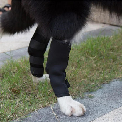 1 par de joelheiras de suporte para animais de estimação – Protetores de articulação de jarrete para recuperação de lesões e proteção da mobilidade de cães
