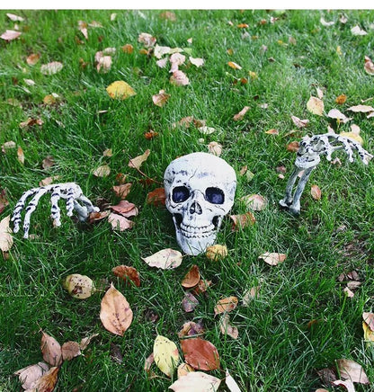 Halloween Realistic Skull Skeleton Head Human Hand Arms for Halloween Party Home Garden Lawn Halloween decor Skeleton Stakes