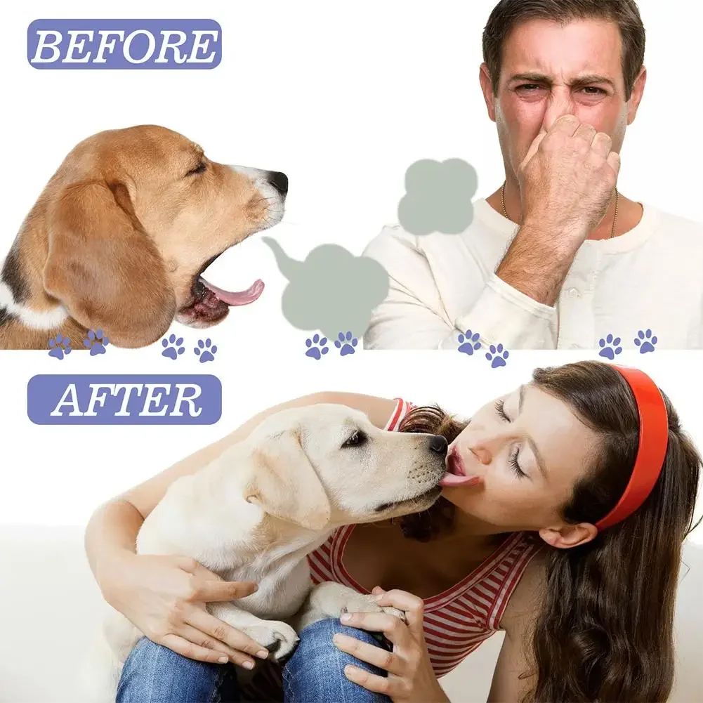 Spray de Limpeza Dental para Pets Previne Tártaro e Mau Hálito em Gatos e Cães Remove o Tártaro e Mantém o Hálito Fresco Desodorização Spray para Cuidados Bucais de Pets