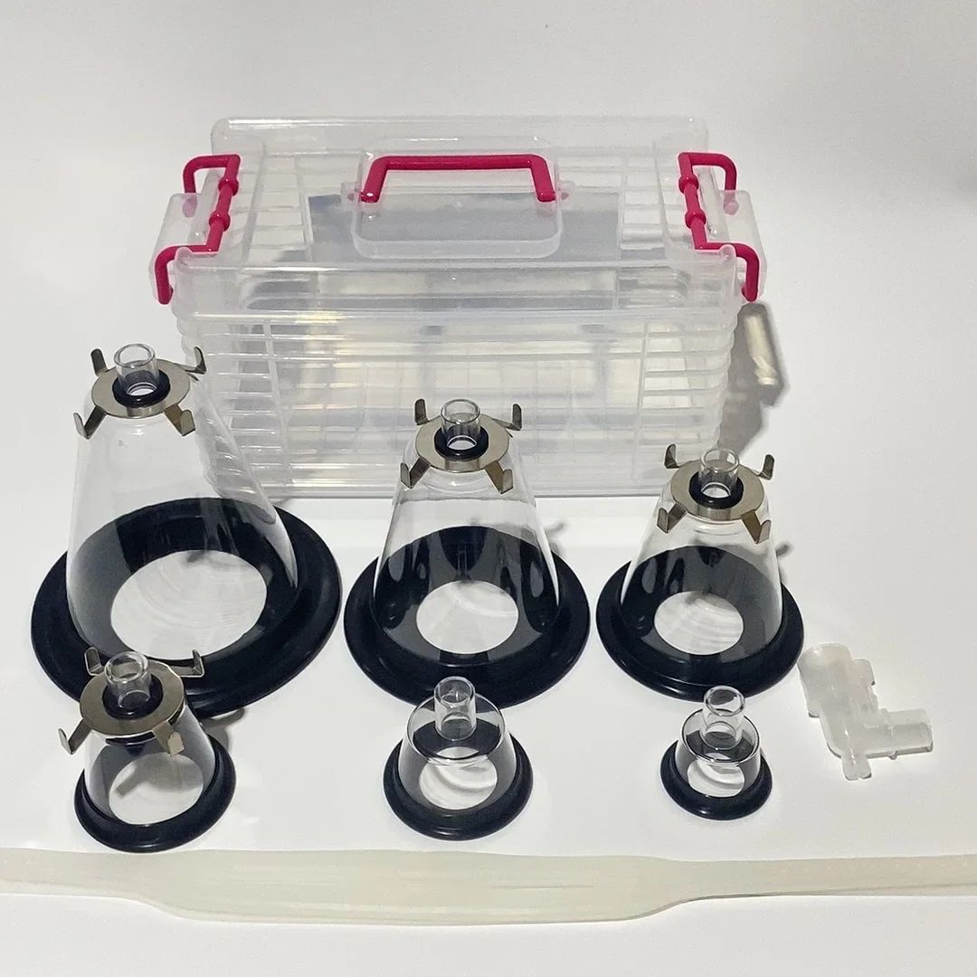 Máscara cirúrgica animal grande Máscara de anestesia para animais de estimação Cães Gatos Transparente Reanimador manual Máscara de oxigênio para anestesia veterinária