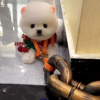 Corrente de Ferro de Simulação de Plástico Gigante para Cães Guias de Plástico Grosso para Cães Corda de Tração Divertida para Filhotes Grande Corrente de Ferro Acessórios para Cães de Estimação