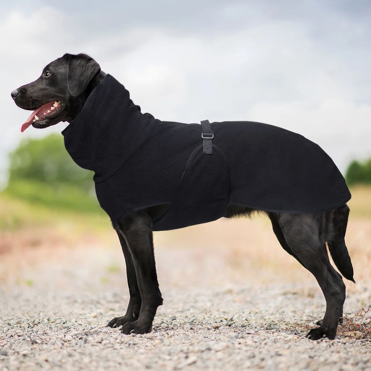 Roupas para Cães Grandes Colete de Inverno Quente para Cães Grandes Jaqueta para Animais de Estimação Casaco para Galgos Doberman Roupas para Cães de Porte Médio e Grande